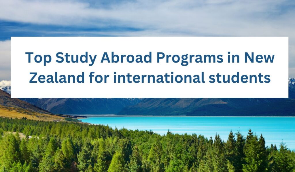 Top Study Abroad Programs in New Zealand for international students